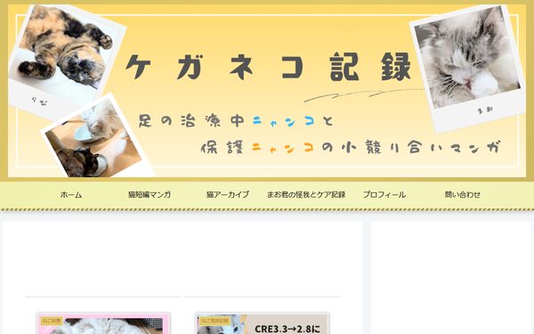 ケガネコ記録のトップページ