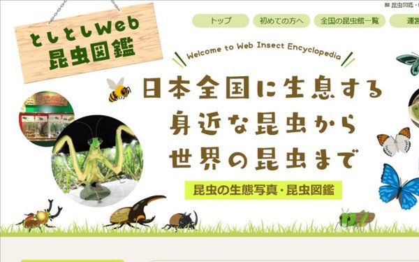 としとしWeb昆虫図鑑のトップページ