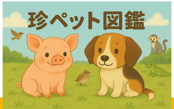 珍ペット図鑑のトップページ