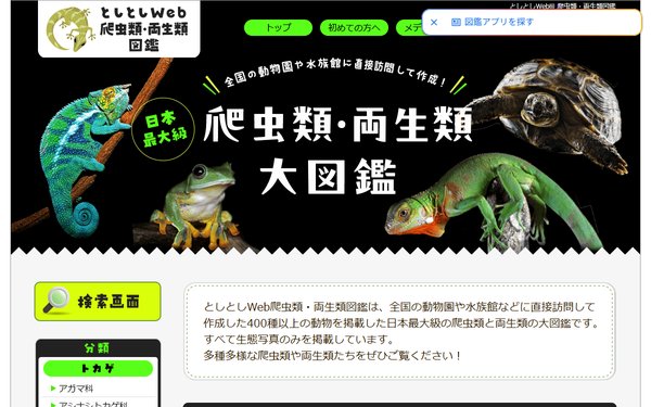 としとしWeb爬虫類・両生類図鑑のトップページ