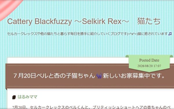 Cattery Blackfuzzy 〜Selkirk Rex〜 猫たちのトップページ