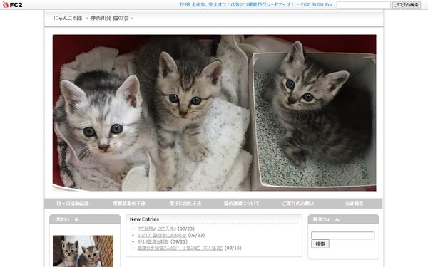 にゃんころ隊のトップページ