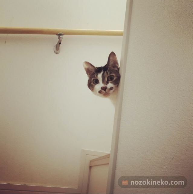 レイののぞき見写真