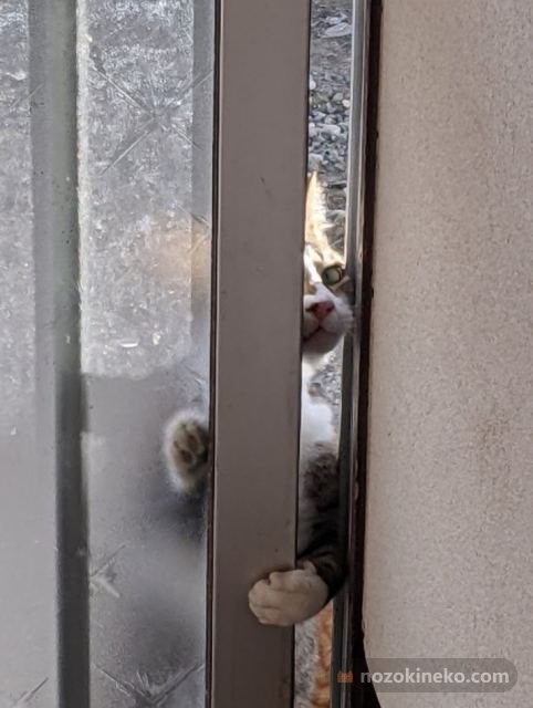 じろうののぞき見写真