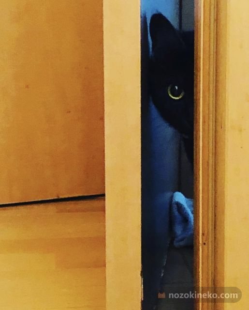 あずきののぞき見写真