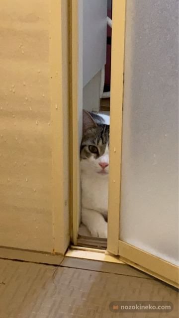 とろろののぞき見写真