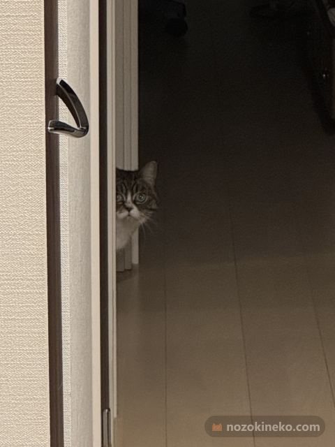 あちゃののぞき見写真