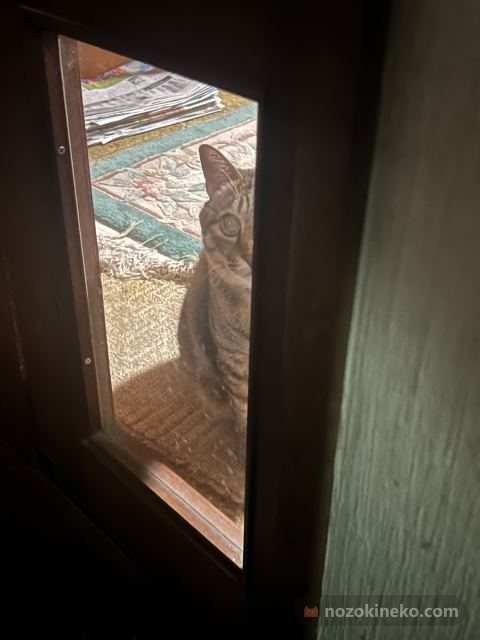 ミミののぞき見写真