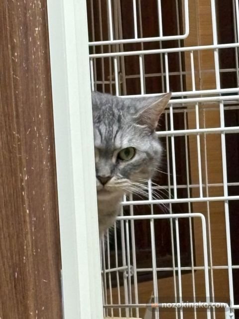 ソラくんののぞき見写真